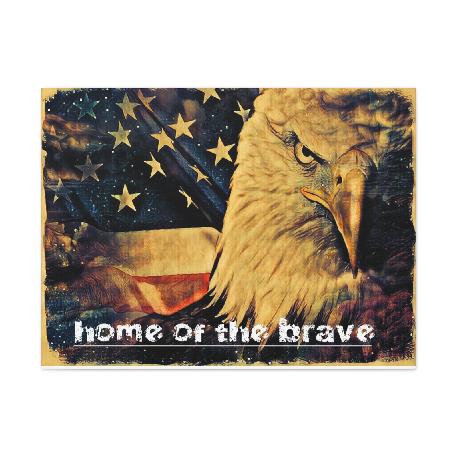 Home of the Brave - Image 5