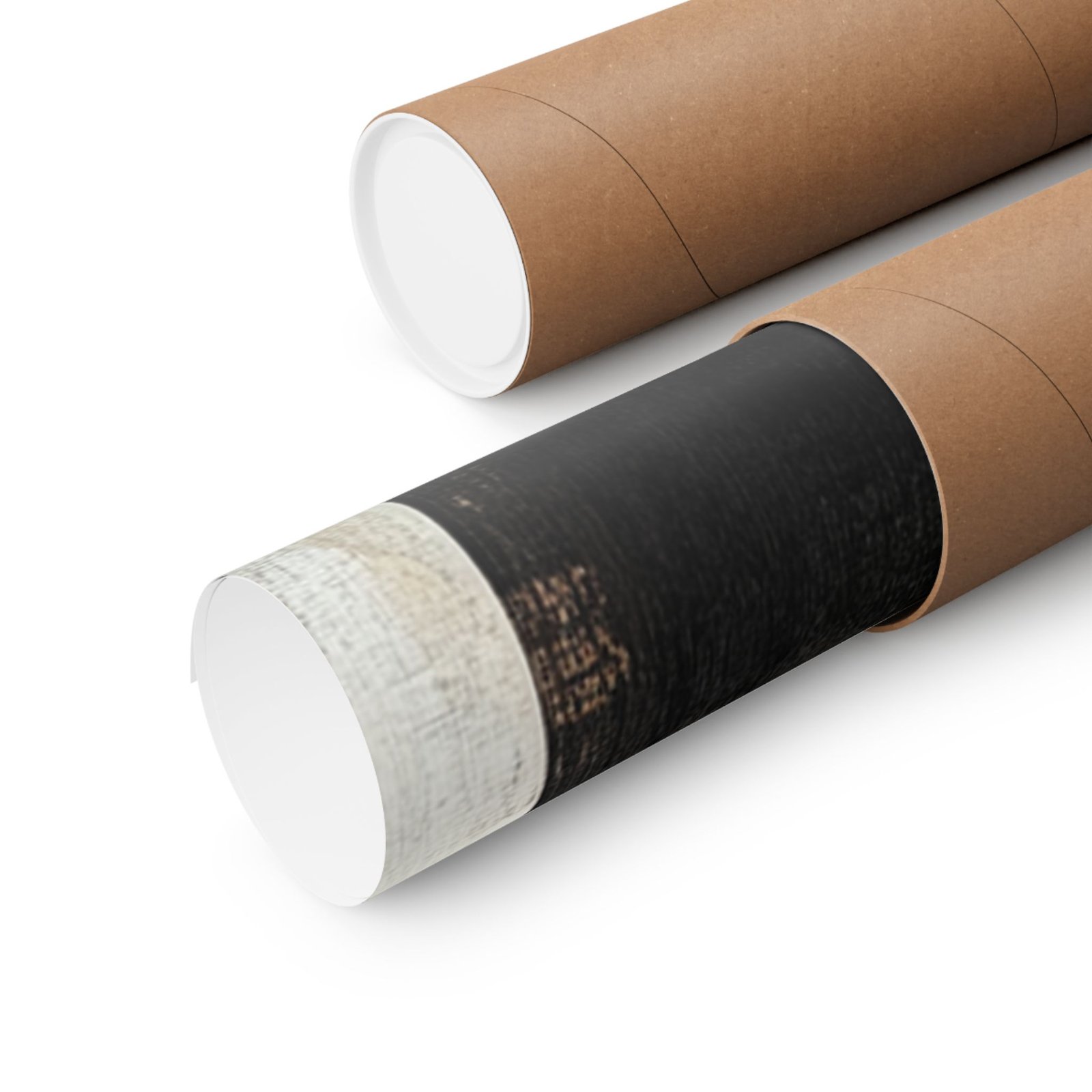 Echo in Profile - Image 11