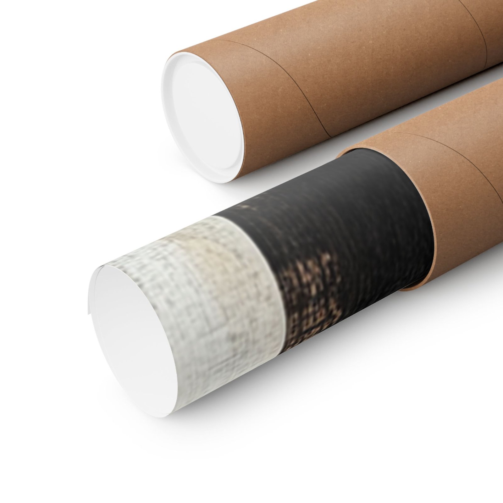 Echo in Profile - Image 19