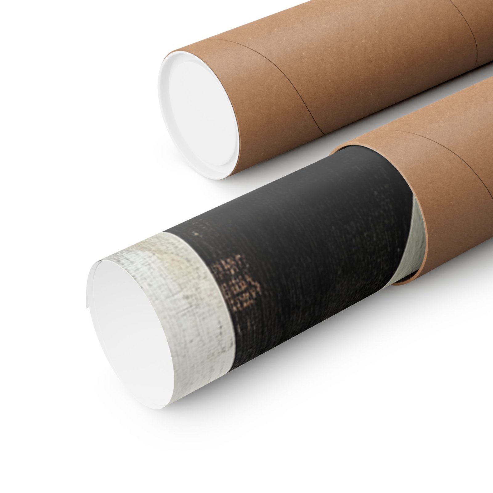 Echo in Profile - Image 7