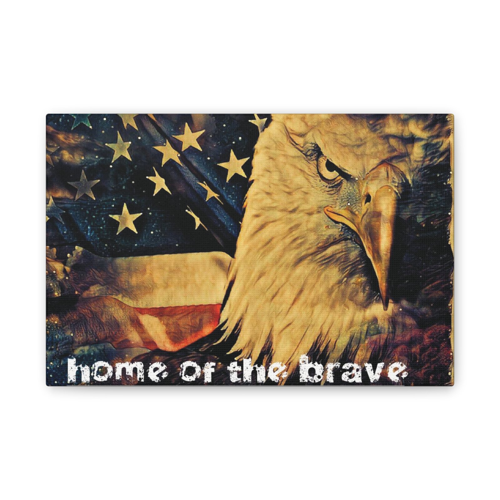 Home of the Brave - Image 9